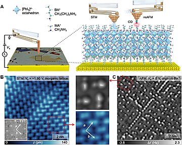 qPlus-based STM and ncAFM imaging of the RPP surface | © American Association for the Advancement of Science.
