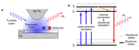 Anti-Kasha Emissions of Single Molecules in a Plasmonic Nanocavity