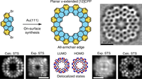 Planar π-Extended Cycloparaphenylenes Featuring an All-Armchair Edge Topology