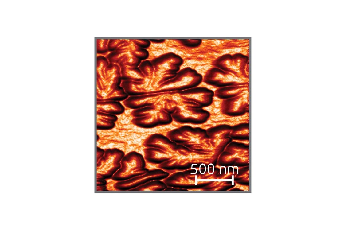 High speed non-contact AFM on oxidised Sb crystals on HOPG | © Dr. B. Kaiser, TU Darmstadt, Germany