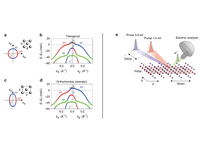 Ultrafast Nematic-Orbital Excitation in FeSe