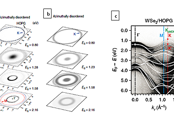 Azimuthally disordered WSe2 TMDC Monolayer Single Crystal  | © Prof. Norbert Koch