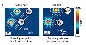 All adatoms are characterized by a single and the same adsorption site, which is found to be the hollow site of the Nb(110) surface. The existence of a single adsorption site can be verified in two distinct way: (i) topographic imaging: as shown in the main text, Fig. 1 e, for each element, all adatoms have always the very same appearance on the surface; (ii) spectroscopic measurements: it is well-known that different adsorption sites result in very different hybridization strength, ultimately leading to distinct spectroscopic features. We analyzed several different adatoms for each element, and they all show the very same spectroscopic signatures, which is also found constant across different sample preparation (see Supplementary Note 4). The exact determination of the adsorption sites rely on atomically resolved images. Panel (a) show how adatoms are adsorbed, as expected, in the energetically favourable hollow site, which is the same adsorption site consistently used in our theoretical calculations (see Supplementary Note 9). However, depending on the tip used in the measurements and the set-point parameter, a corrugation reversal effect can be observed, as visualized in panel (b). This is in line with theoretical predictions suggesting strong corrugation reversal at (110) surfaces of bcc metals, with the effect expected to be particularly prominent especially for Nb [2]. | © CC BY 4.0