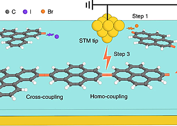 Schematic of the tip-induced block-by-block synthesis approachTop | © Springer Nature Limited