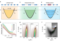 Band-Selective Holstein Polaron in Luttinger Liquid Material A0.3MoO3 (A = K, Rb)