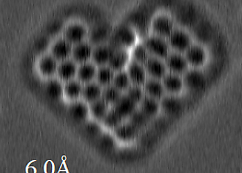 Constant height frequency shift images of a porphyrinoid molecule on Au(111). Reference setpoint: 150 pA, 5 mV, Z offset: +250pm. Left: raw image (z-scale -7.2 … -4.2 Hz). Note that the observed molecule is not perfectly planar due to steric hindrance. Right: after background subtraction | © Scienta Omicron