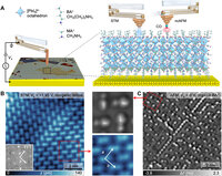 Sub-Angstrom Noninvasive Imaging of Atomic Arrangement in 2D Hybrid Perovskites