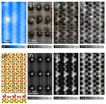 Robustness of Bilayer Hexagonal Ice against Surface Symmetry and Corrugation | © American Physical Society