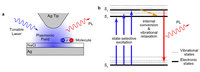 Anti-Kasha Emissions of Single Molecules in a Plasmonic Nanocavity 