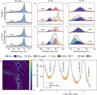 In-situ probing of the Fischer-Tropsch reaction on Co single crystal surfaces up to 1 bar
