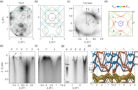 Dichotomy in Low- and High-energy Band Renormalizations in Trilayer Nickelate La4Ni3O10: a Comparison with Cuprates